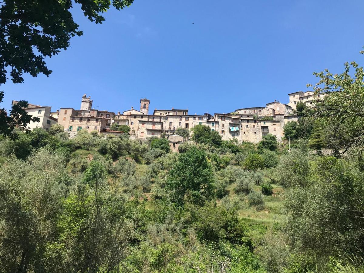 Holiday home Casa Nonna Velia *