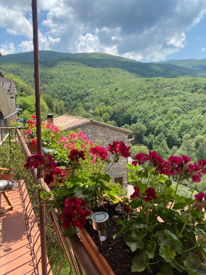 Casa Nonna Velia *