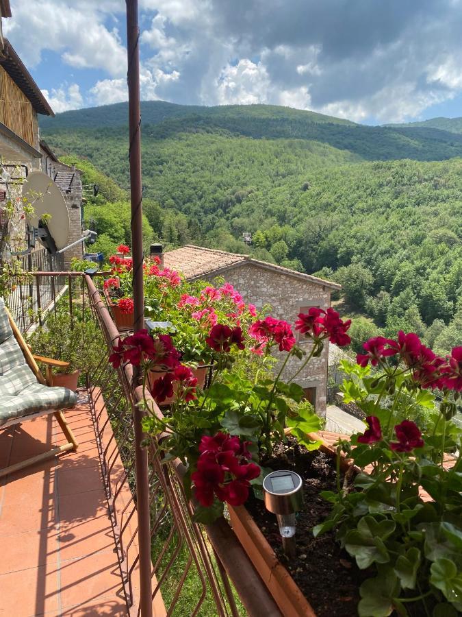 Holiday home Casa Nonna Velia *